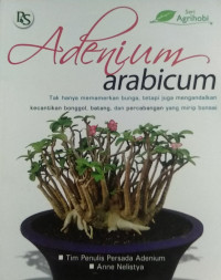 Image of Adenium Arabicum
